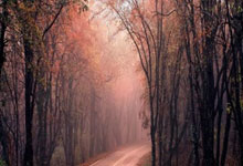 开云体育中国-湖人意甲爆冷负东契奇领衔劲旅！积分震荡暗藏体坛新变局