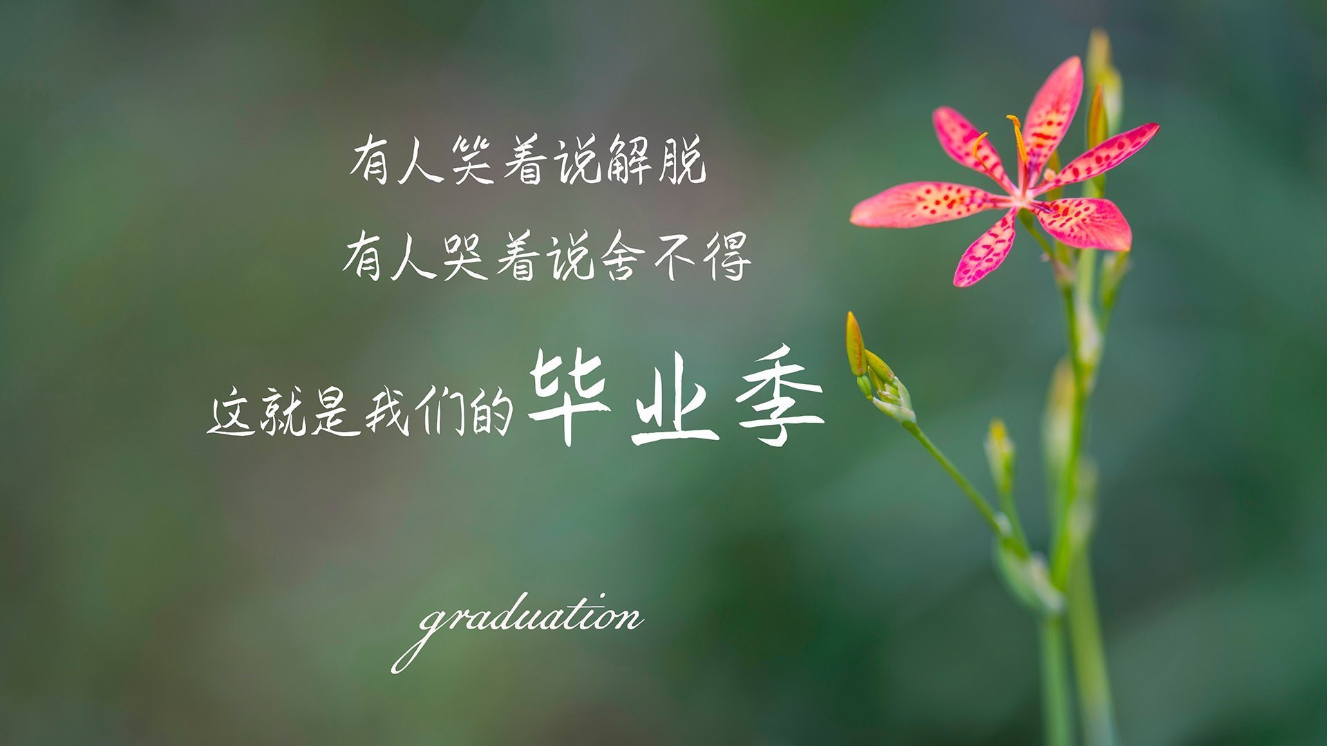 双线凯歌，德国队力克瑞典队，张本智和带队取胜