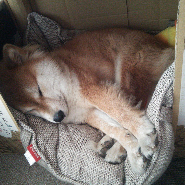 开云体育平台APP-攻守易形，从美国资本收割安哥拉到李刚仁防守锁死对手