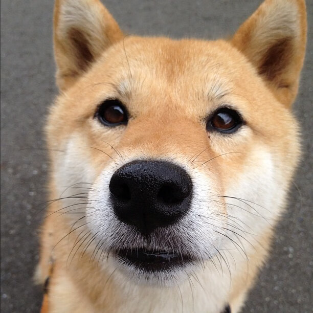 国家荣耀与俱乐部神话的碰撞,巴拉圭友谊赛狂胜拜仁,无名英雄凯塞多如何改写历史?