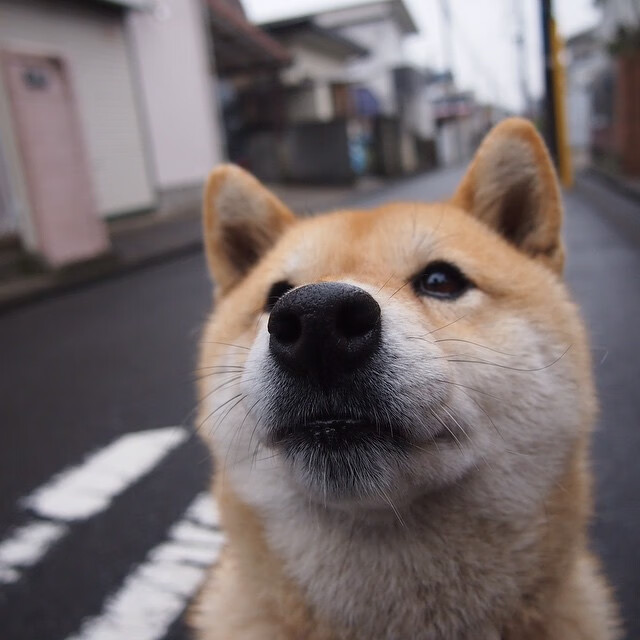 法老的诅咒与少年王的加冕，贝林厄姆于幻影之战中劈开红海