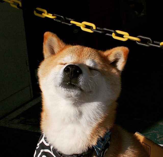 新王加冕之夜，爱德华兹率魔术逆转雄鹿，一场定义未来的完美演出