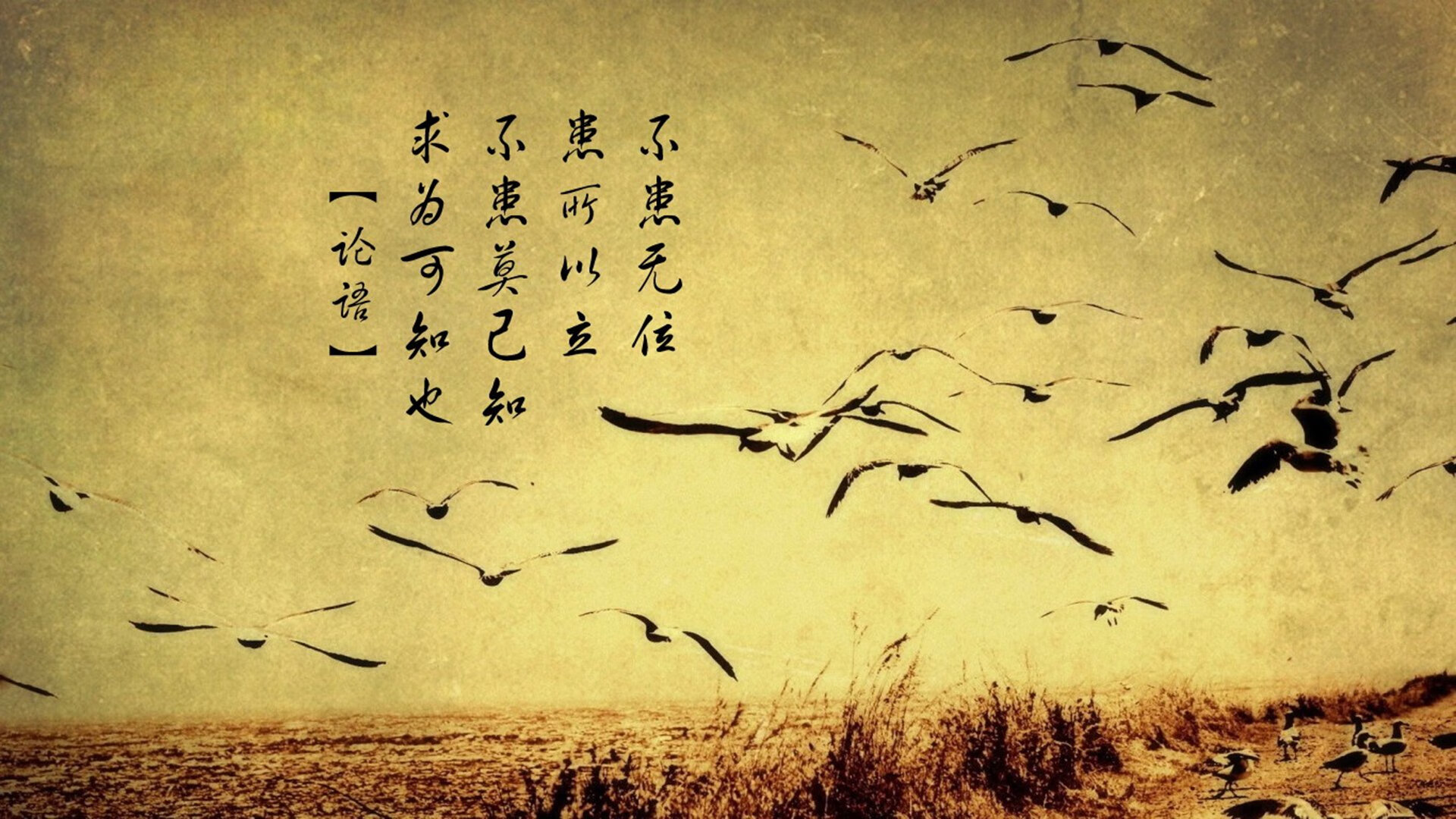 AC米兰血拼塞维利亚，皮克神锋附体，这场对攻大战为何无人可挡？