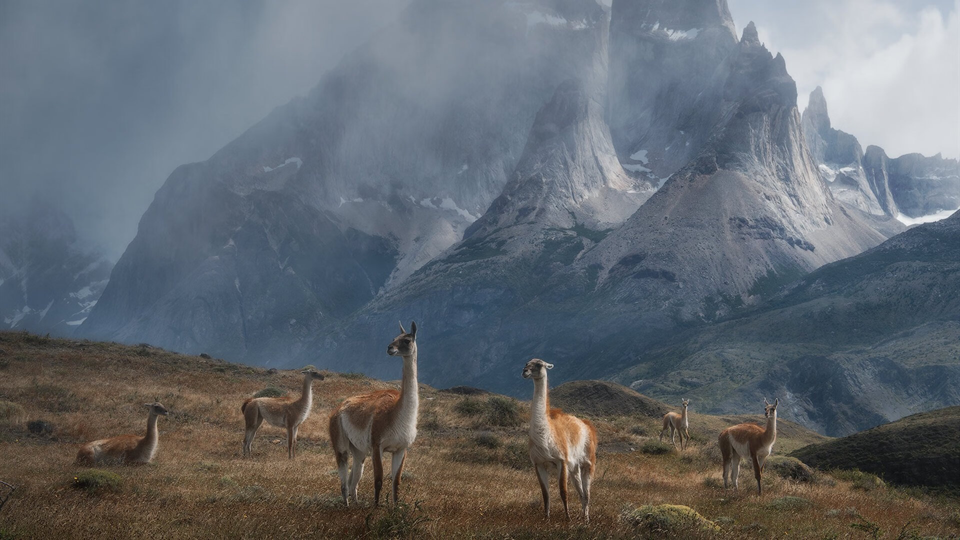 火力交响曲中的独奏家，布雷默末节17分导演出巴黎对毕巴的现代压制美学