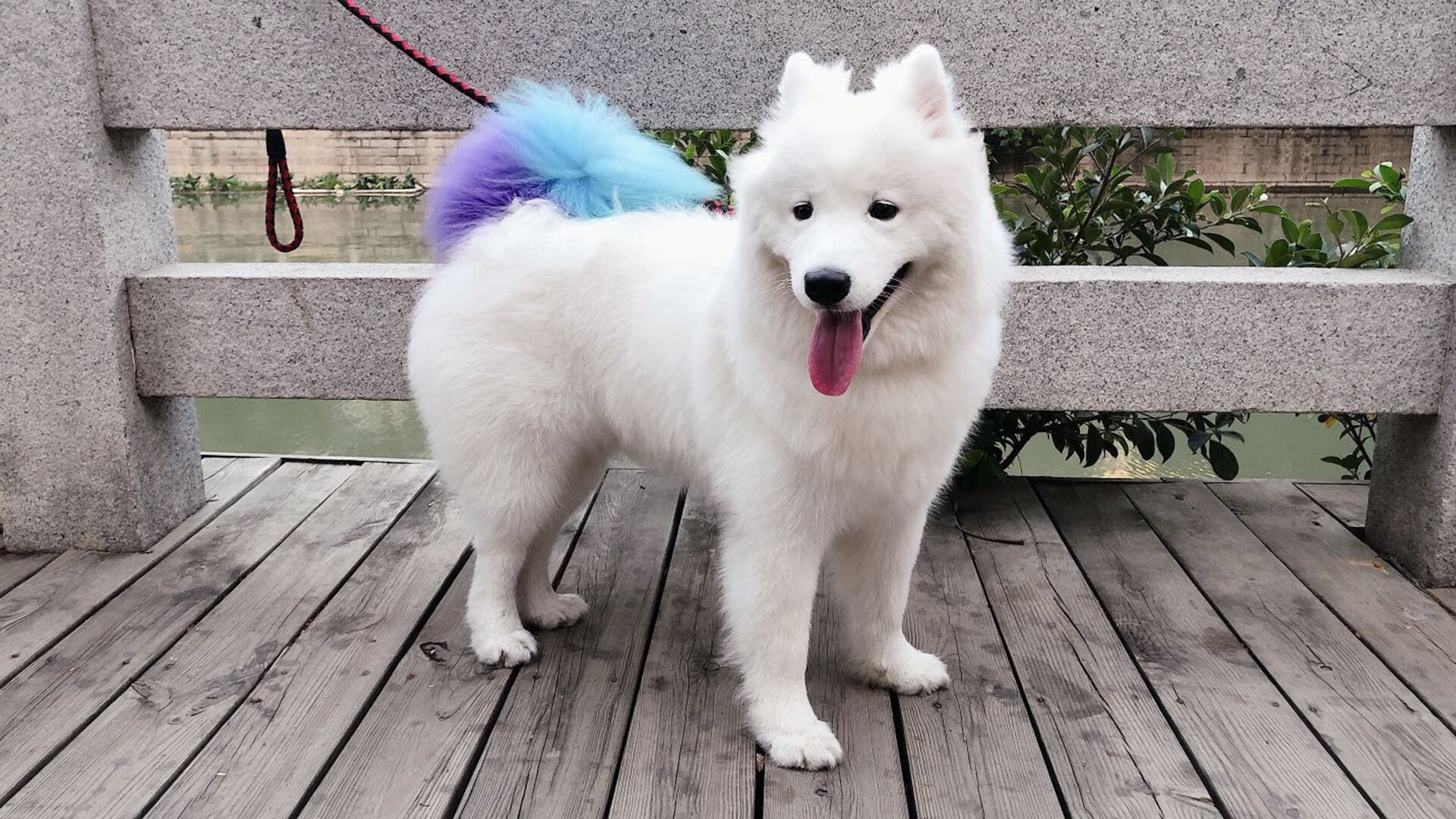 制霸与绝杀，篮球宇宙的平行叙事