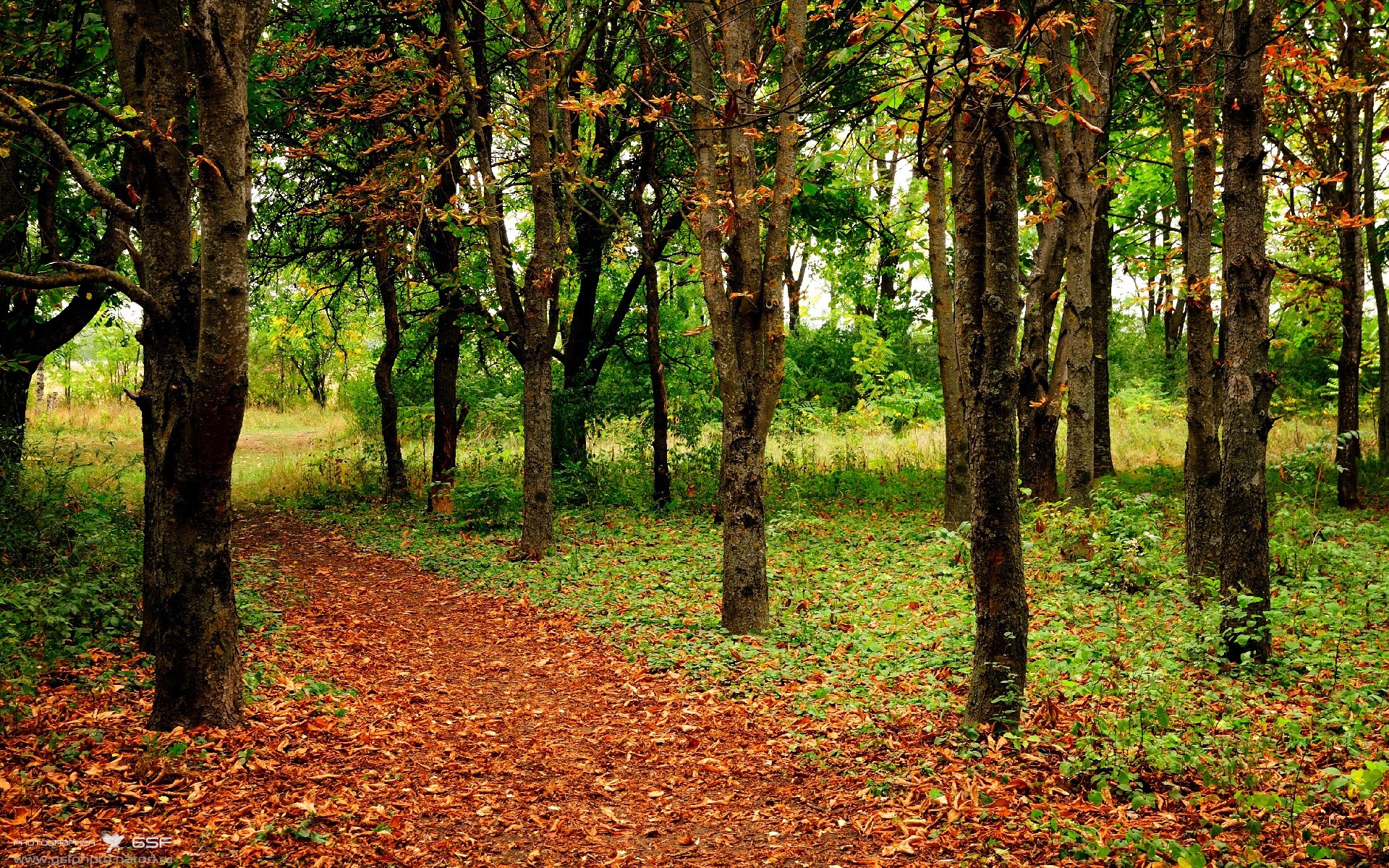 冰之蓝，火之焰，冰岛如何用集体大脑点燃法比尼奥，令哥伦比亚俯首