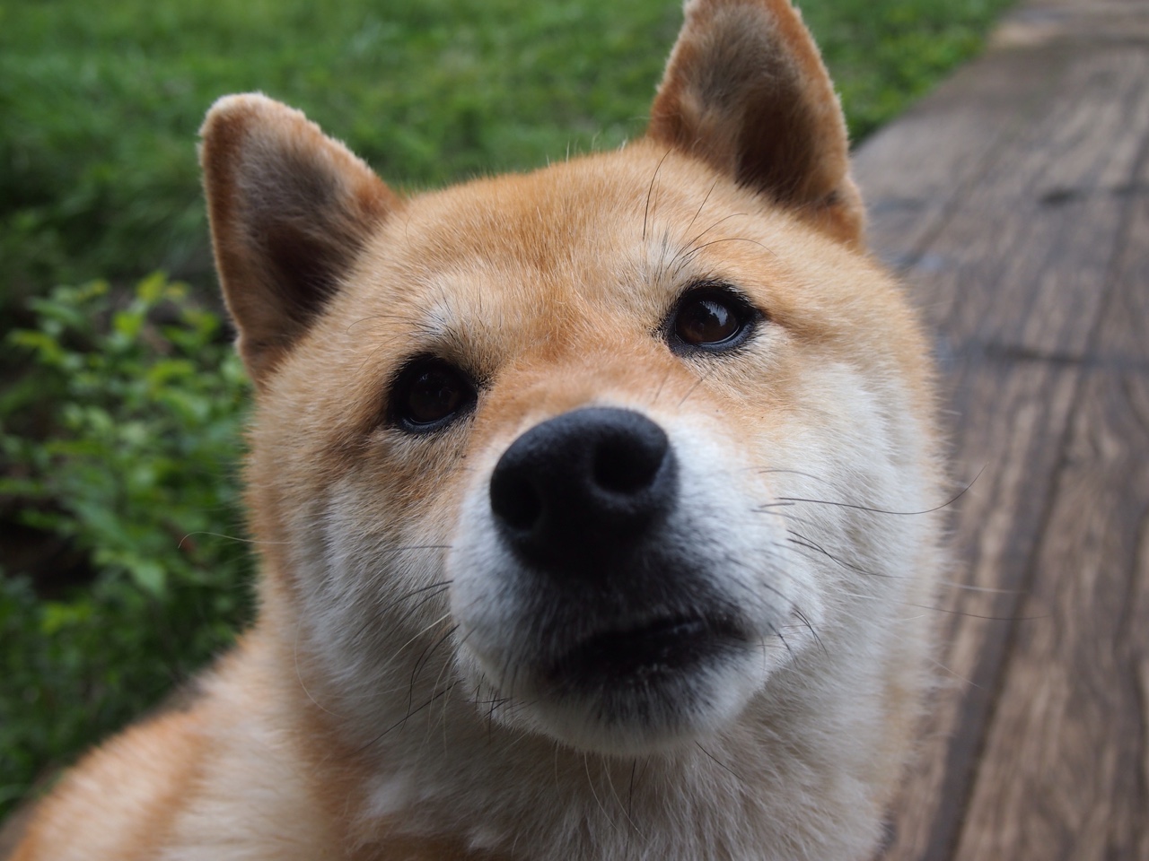 南北同辉，阿什拉夫的硬与劳塔罗的柔，如何在不同大陆接管比赛？