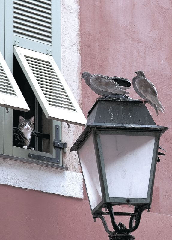 奥利维耶23+9化身定海神针，墨西哥加时鏖战力克伊朗夺生机